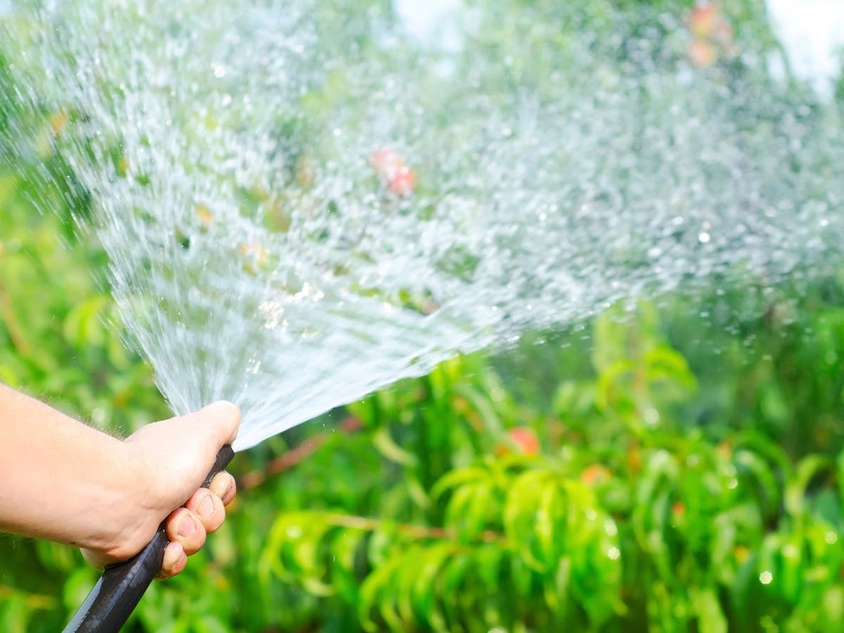 Lawn Watering Regulations In Manhattan In Effect Through Sept. 15