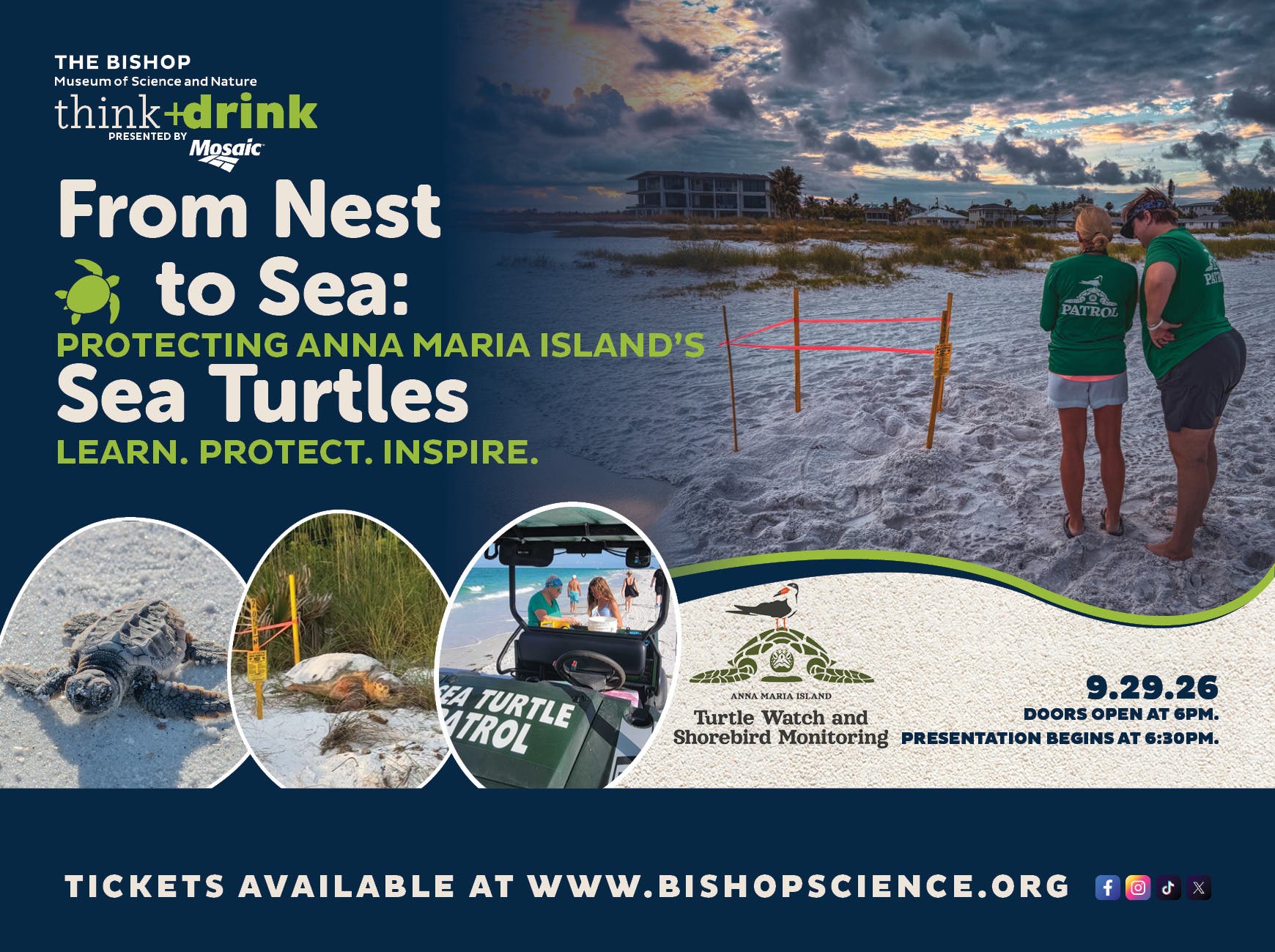 think + drink presents: From Nest to Sea: Protecting Anna Maria Island’s Sea Turtles