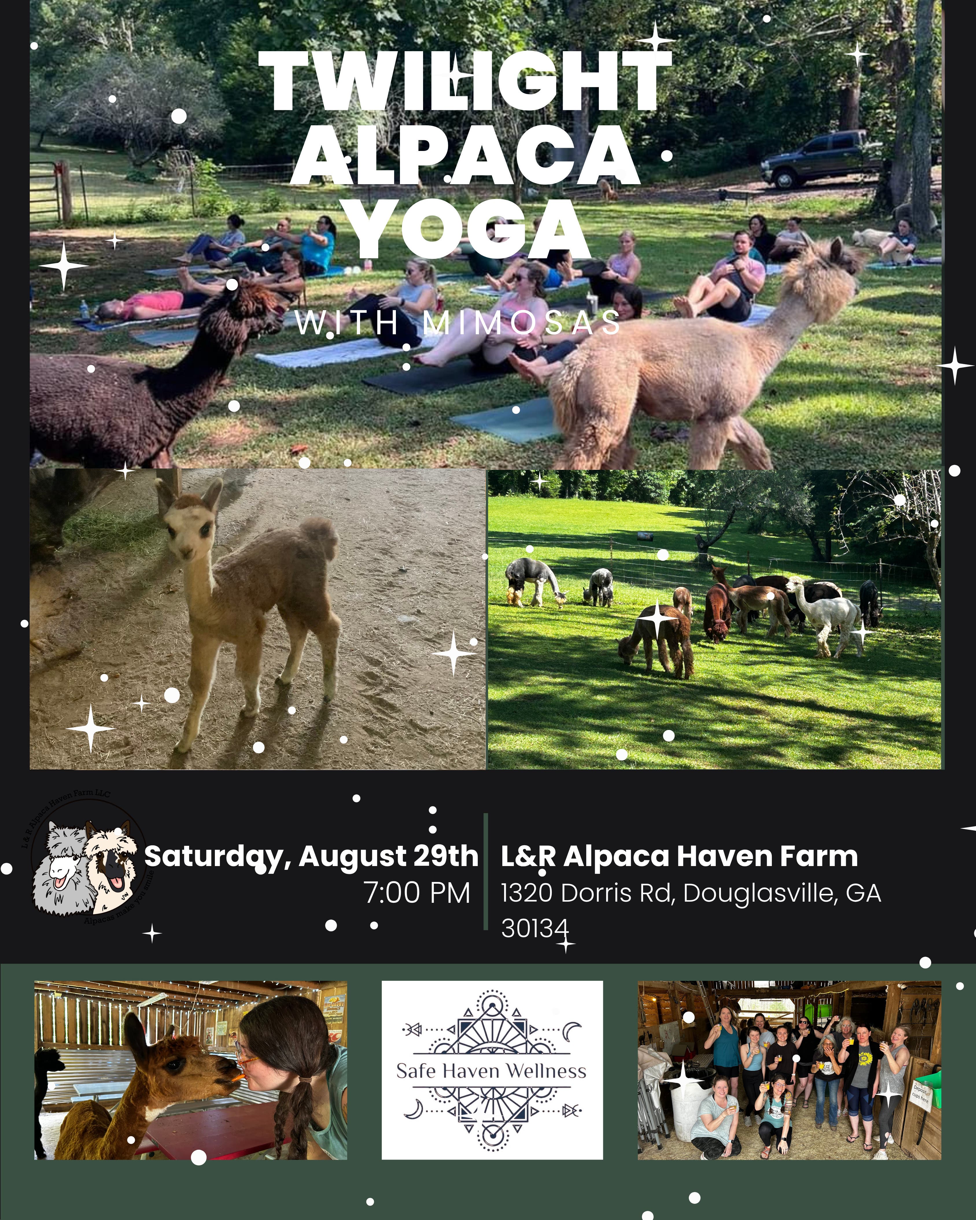 Twilight Alpaca Yoga & Mimosas with Audrey
