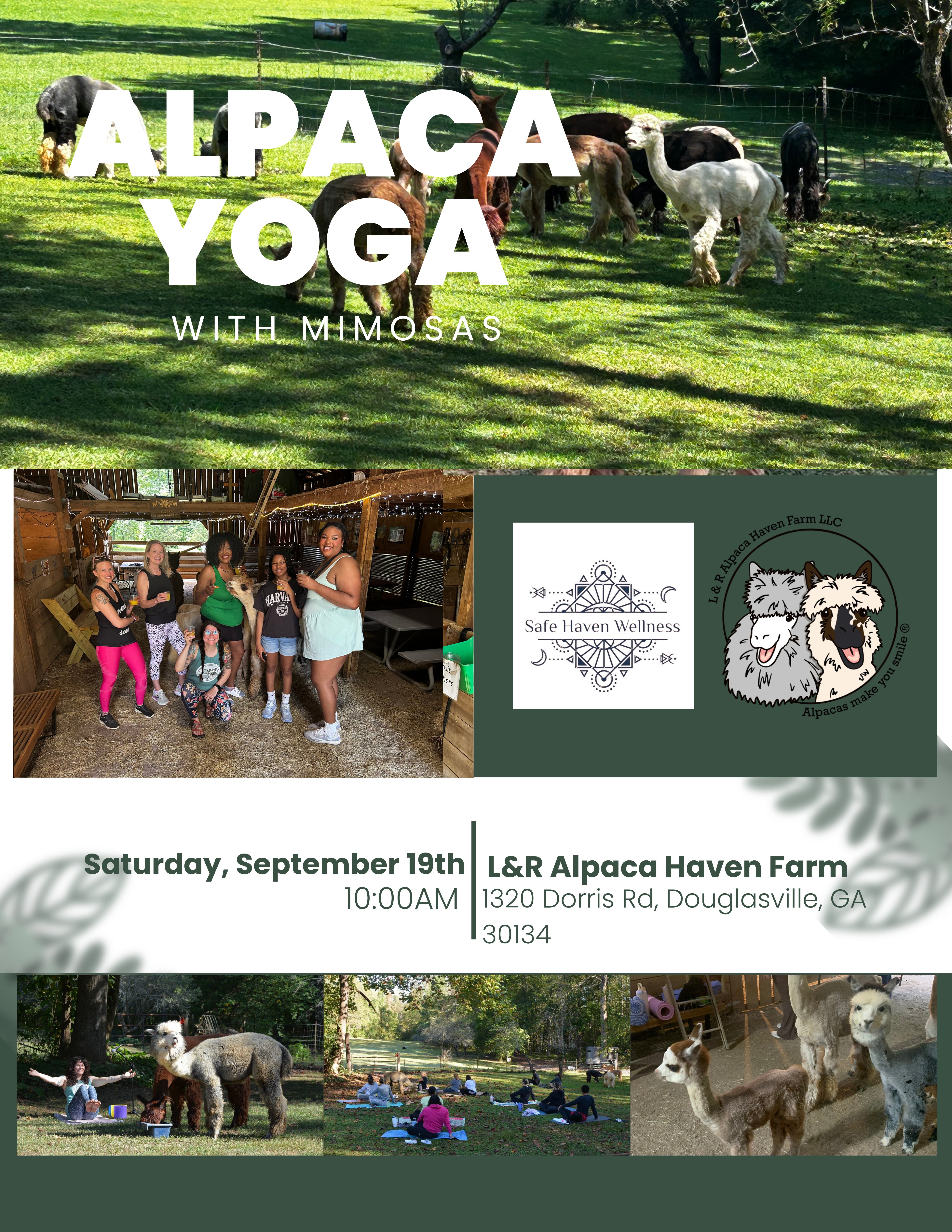 Alpaca Yoga & Mimosas with Audrey