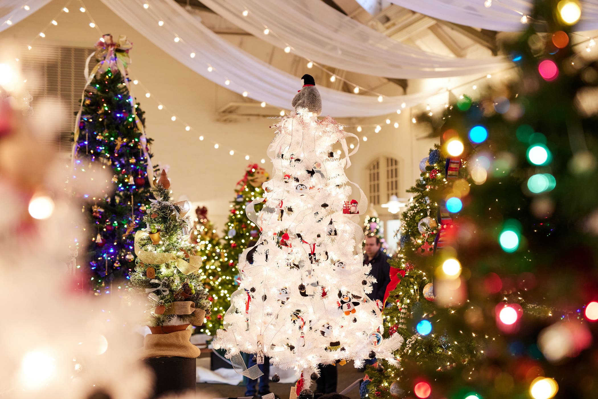 18th Annual Festival of Trees