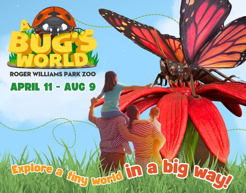 A Bug's World at Roger Williams Park Zoo