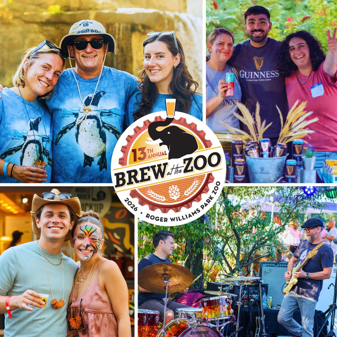 Brew at the Zoo