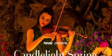 Candlelight: Tribute to Fleetwood Mac 