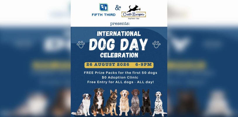 International Dog Day Celebration