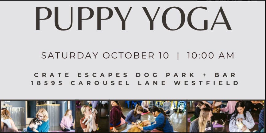 Puppy Yoga at the DogBar
