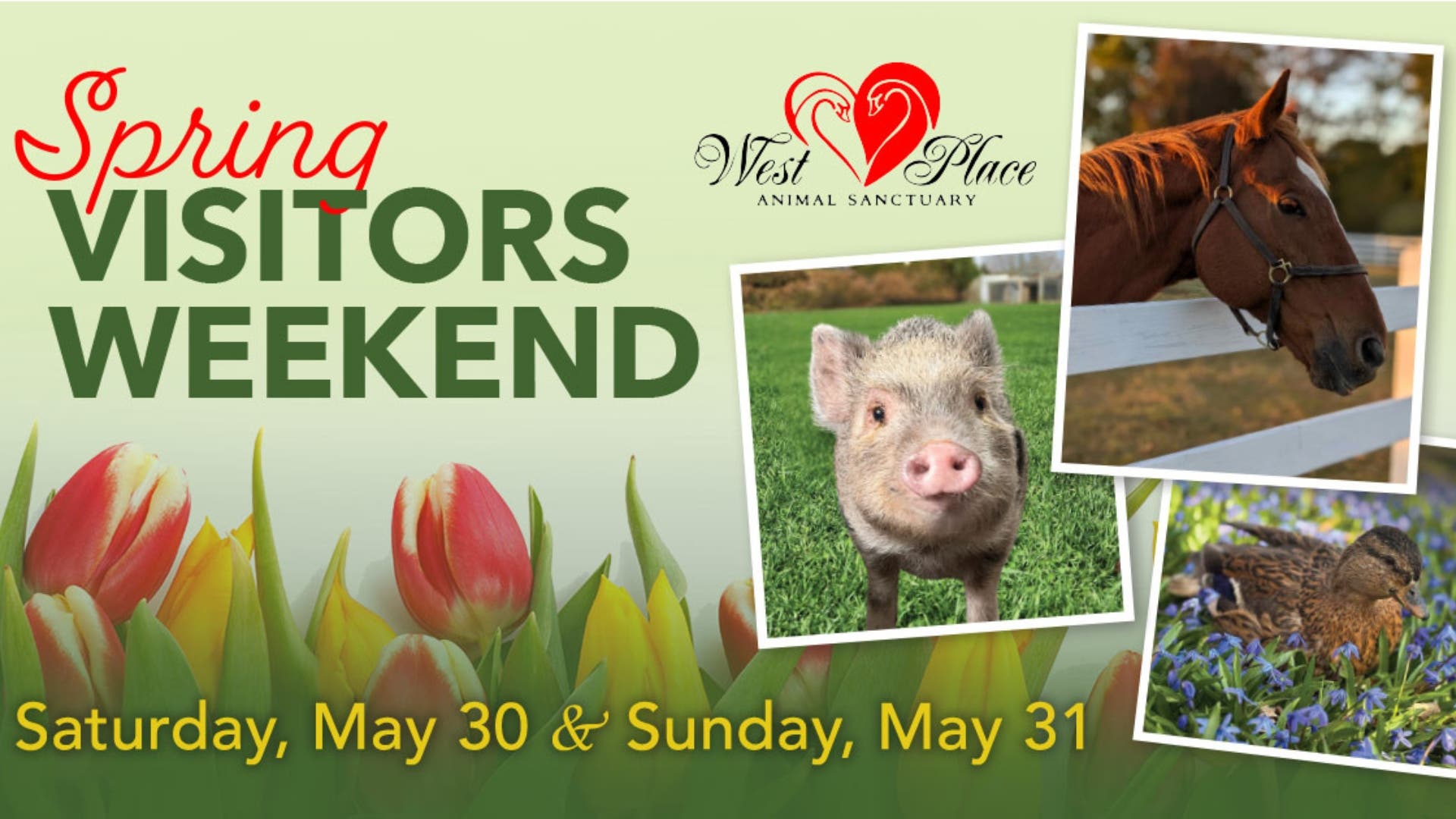 Spring Visitors Weekend