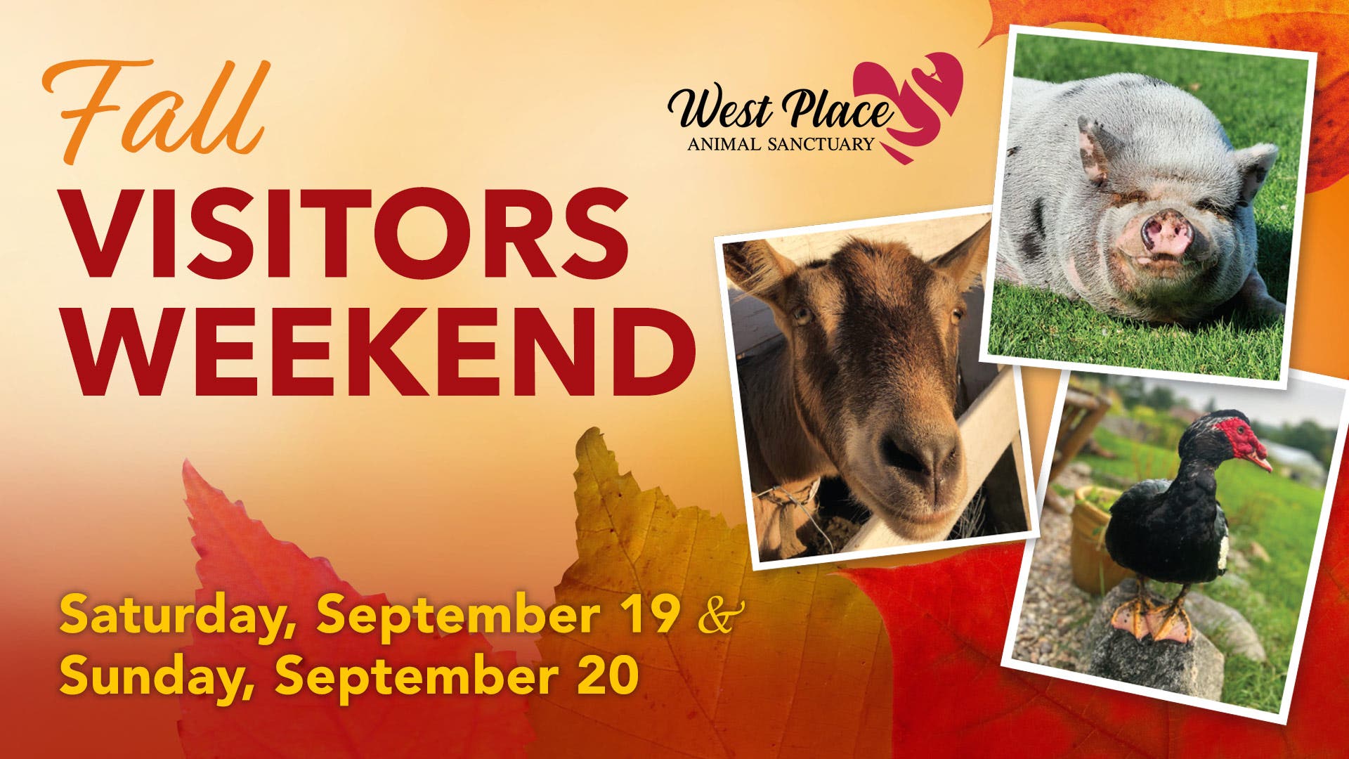 Fall Visitors Weekend