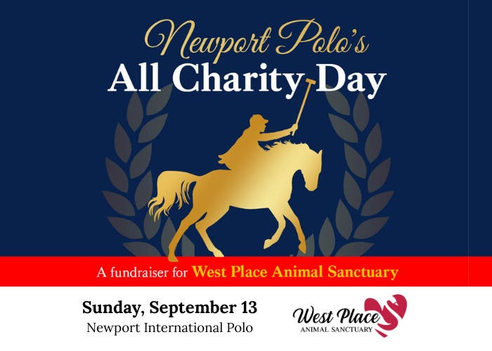 All Charity Day at Newport Polo