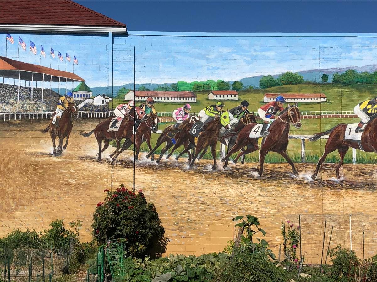 Havre de Grace Art Explosion: The Story of the Graw Alley Murals
