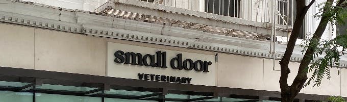 Small Door Veterinary