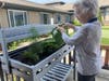 Porter Place resident Joan Oberdorf cares for the plants in the sensory garden.