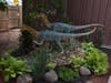 Two Coelophysis Dinosaurs were added to The Center for Science's Dinosaurs! And Live Animals Exhibit