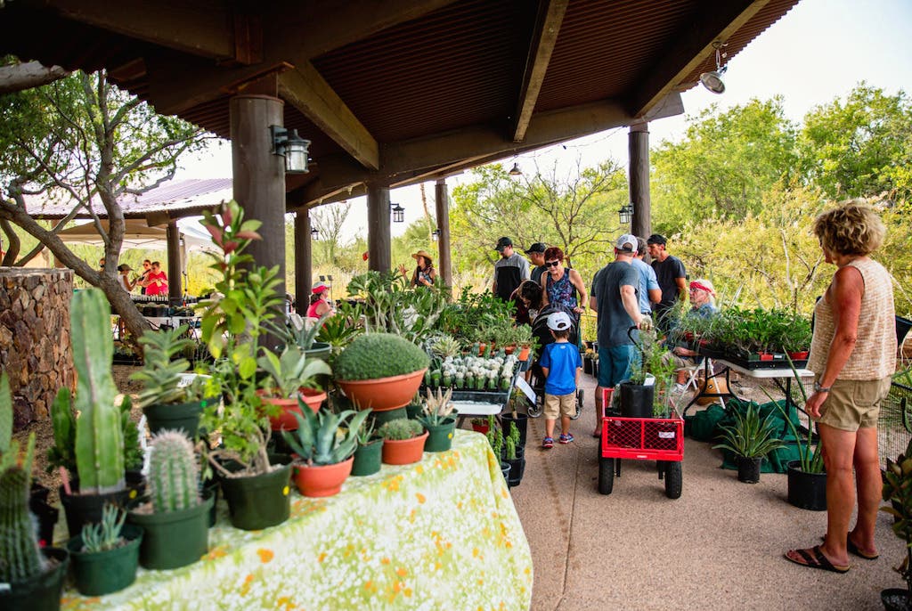 Monsoon Market Rolls into Tohono Chul July 17 and 18