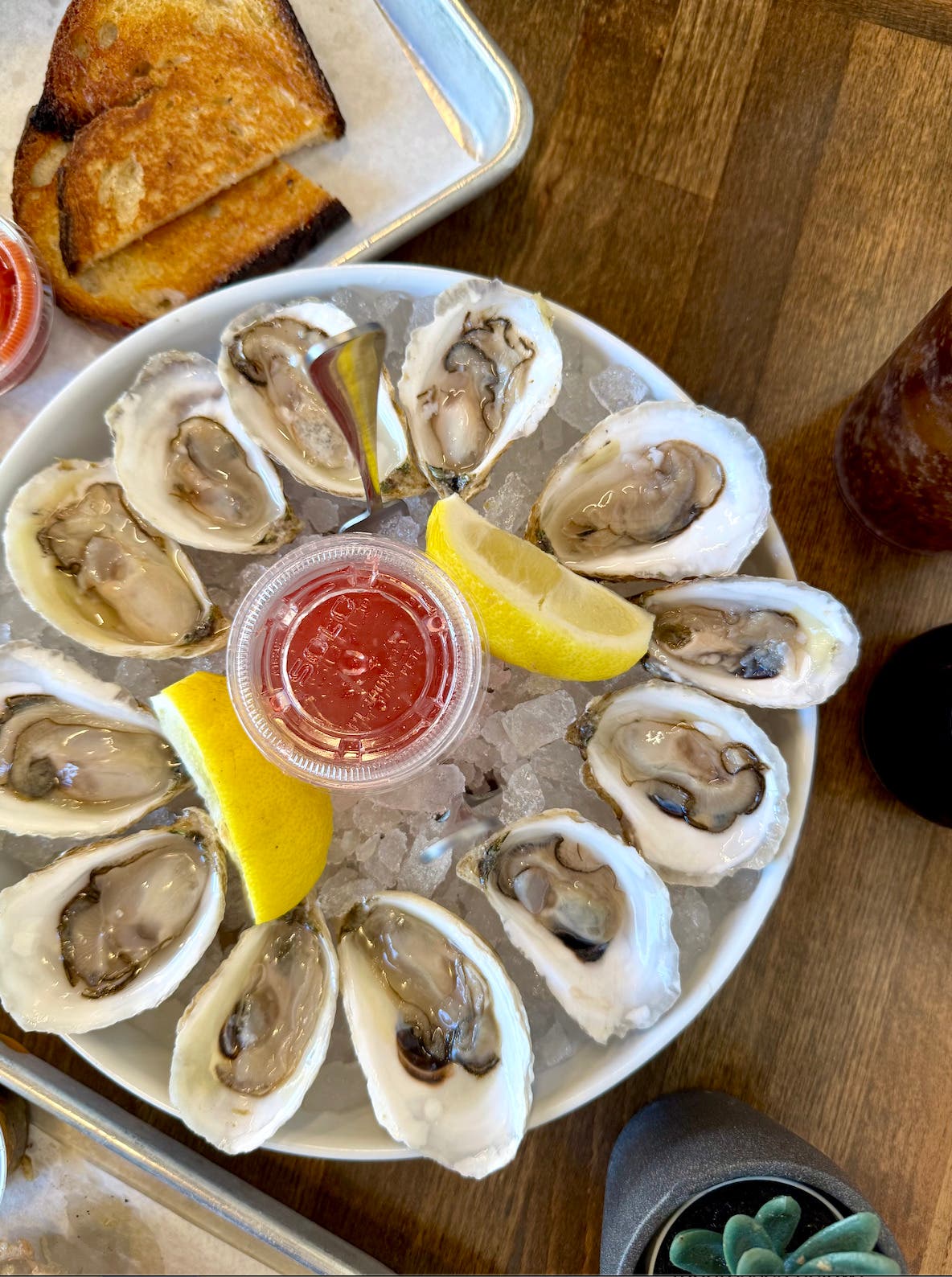 Chula Seafood Shellebrates National Oyster Day with Special on AUG. 1