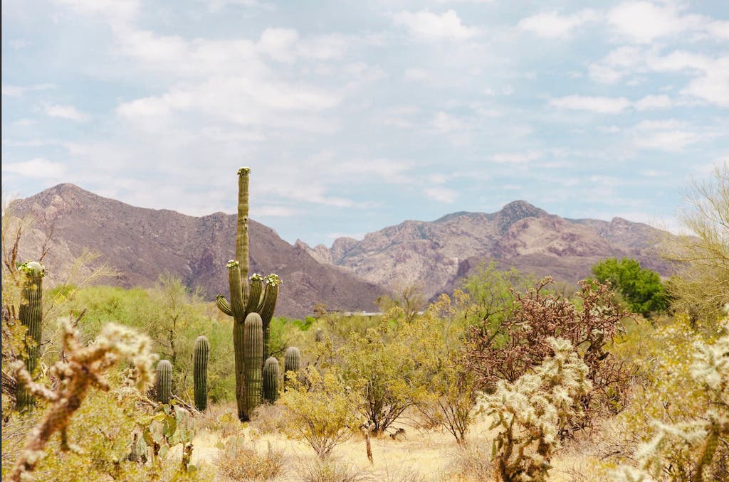 Adaptive Arboretum at Tohono Chul Now Open, Arboretum on Tap Series Debuts Oct. 3
