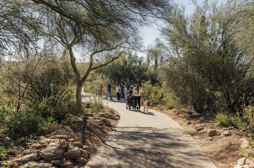 Tohono Chul Set to Unveil New 15-Year Master Plan