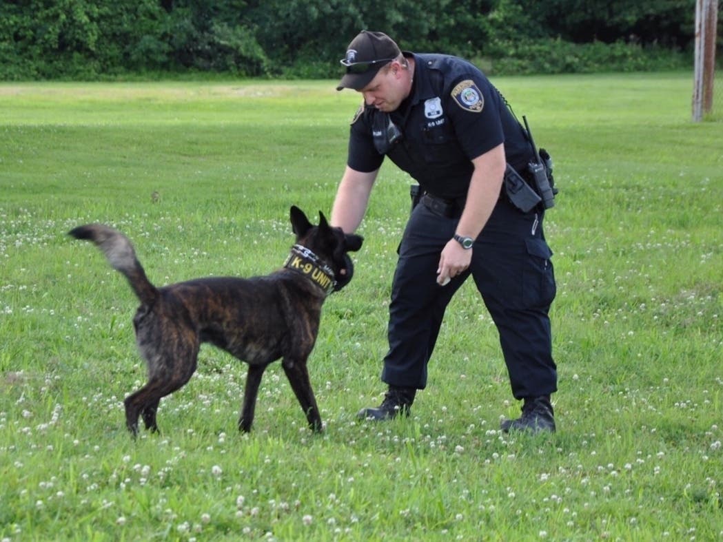 Fellow officers are remembering Stephen Plum Jr., the Warrington Township Police Department K-9 officer who died suddenly this week.  A GoFundMe​ to support his wife Nancy and five children has raised more than $41,000 as of Thursday afternoon.
