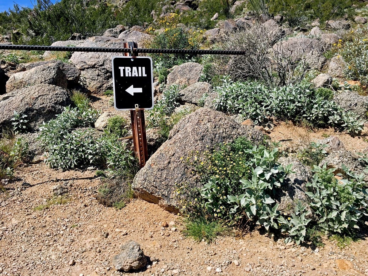 david allen, patch, phoenix, arizona, az, AZ, Camelback Mountain hiking trail, Camelback Mountain, Phoenix, Camelback Mountain trail, hike, 
