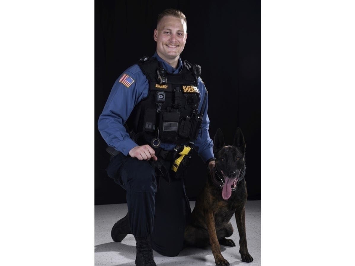 Detective Marc Adamsky and K-9 Tim from the Morris County Sheriff's Office were able to track down a car burglary suspect on Wednesday morning, officials said. Read more below: 