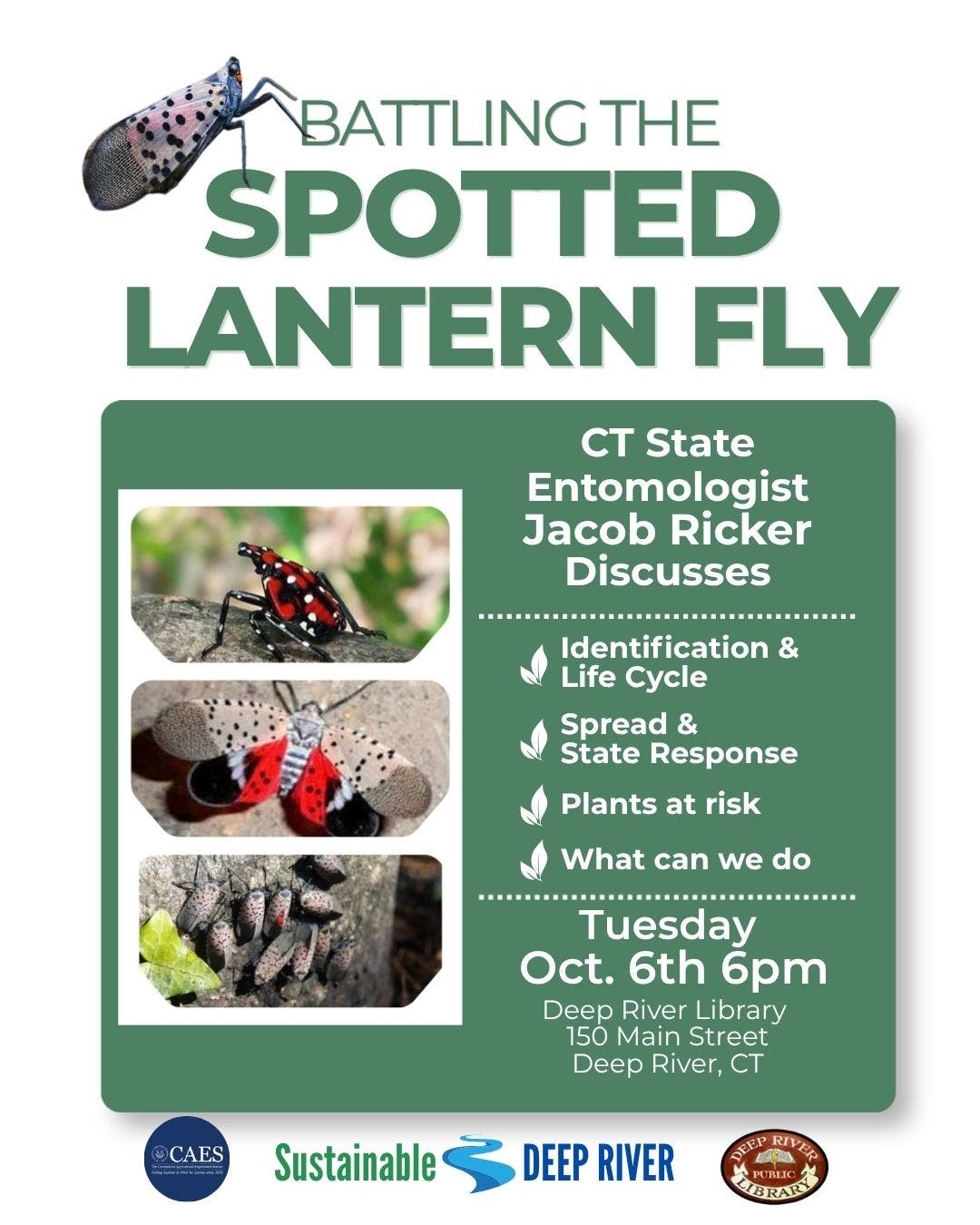 Battling The Spotted Lantern Fly
