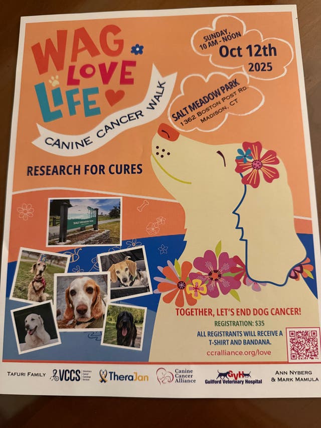 Oct 12 | Wag, Walk, Love Walk for Canine Cancer | Madison, CT Patch