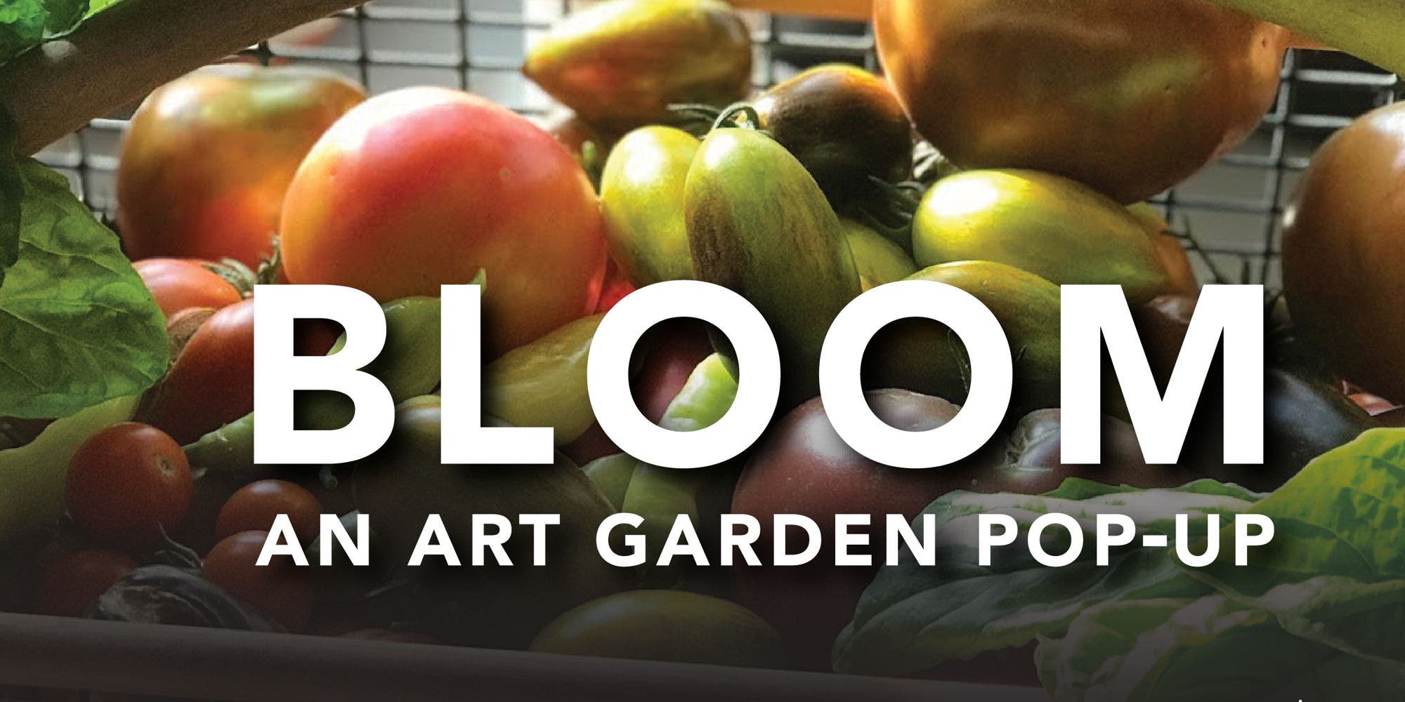Bloom: An Art Garden Pop-Up