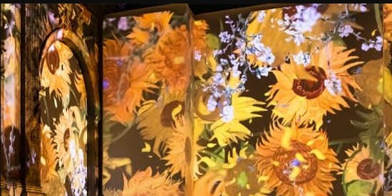 Van Gogh: The Immersive Experience