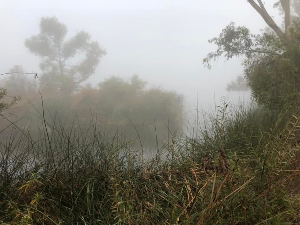 Orange County resident photographer Mark Savage captured this foggy morning at Laguna Niguel Lake in a picture earlier this week, writing: "The fog was a fine artist this morning at the lake."