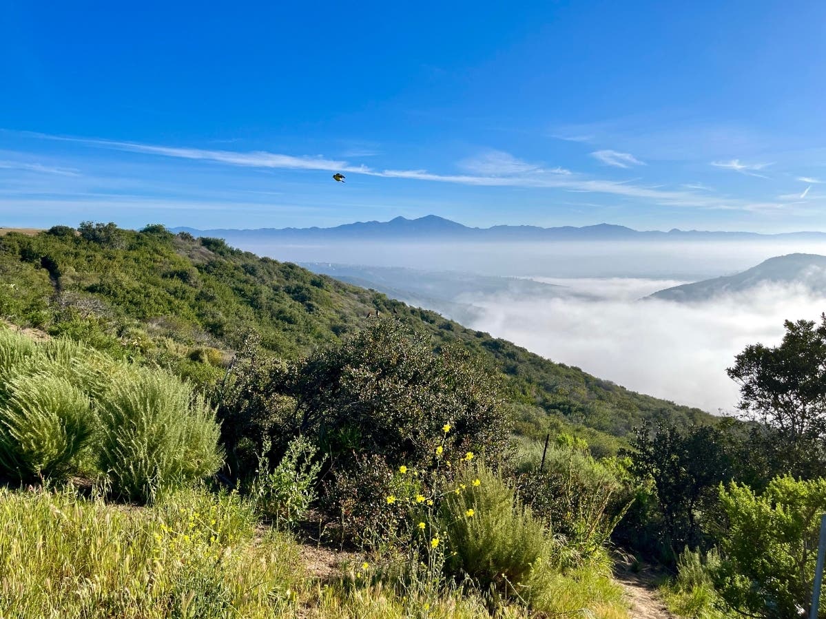 There are few things that compare to the sweeping views of our natural world. Fortunately for Orange County residents, scenic wonders exist around every corner. 