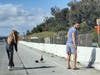 Good samaritans in Orange County put their lives — and cars — at risk when they parked on the side of the freeway to save a brood of ducklings and their mother.