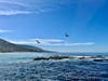 Laguna Beach resident photographer Susana Cruciana took to the shores of Treasure Island Beach Saturday morning in search of a peaceful commune with nature. 