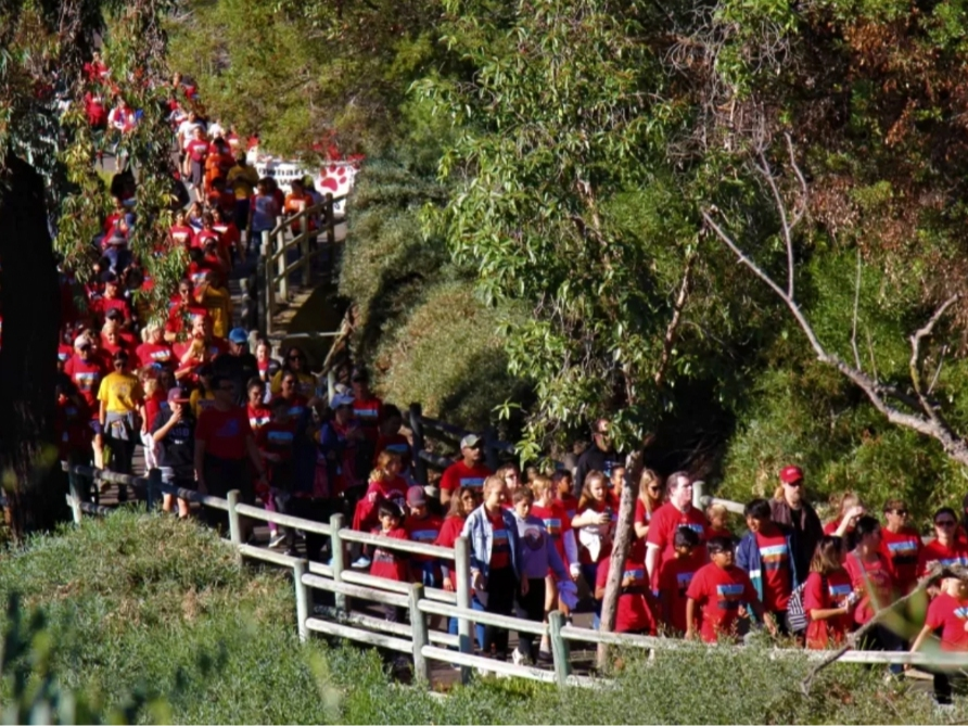 The 34th Annual Walk Against Drugs is returning to Mission Viejo, and this year, Los Angeles Angels' pitcher and Mission Viejo native Patrick Sandoval will serve as the keynote speaker. 
