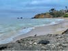 While tourist season is ending in Laguna Beach, whimbrel season is just getting started. 