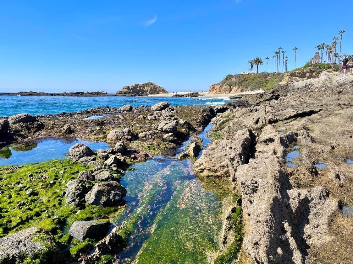 Laguna Beach resident Susana Cruciana was enjoying the warm weekend weather at Treasure Island when she took this beautiful photo of the shore during low tide. 
