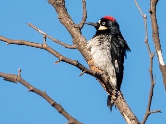 Now that summer has begun, it's time to think about more time in the sun in and around Orange County.