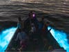 Travelers aboard a Newport Coastal Adventure vessel were treated to a special sight Sunday evening: bioluminescent waves.
