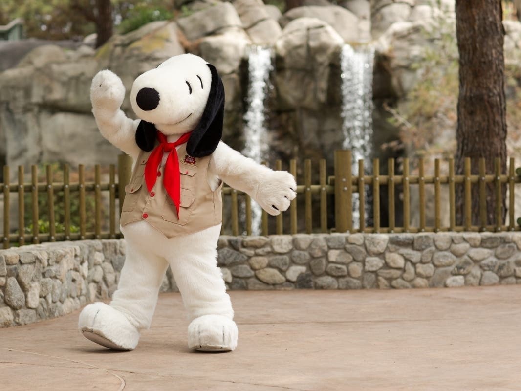 Knott's Berry Farm in Buena Park announced plans to tire 2,000 workers for the 2024 season, park officials said Tuesday. 