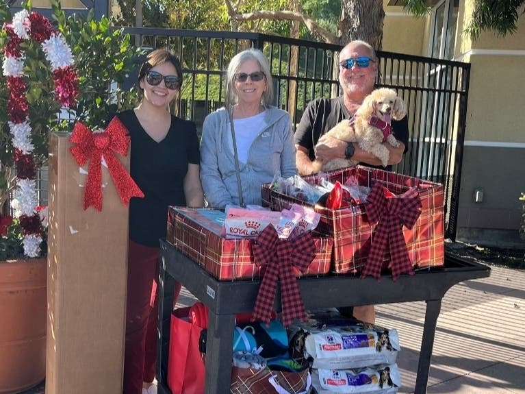 The dogs, cats and rabbits currently living at the Mission Viejo Animal Services Center have something to smile about this holiday season. 