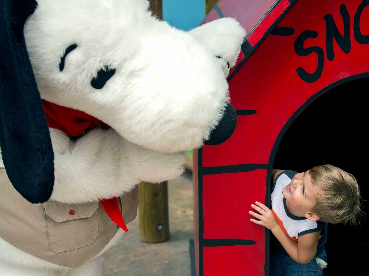 Knott's Berry Farm is celebrating the 75th anniversary of the first publication of Charles Schulz's "Peanuts" comic strip in a big way, after the theme park announced a new musical and exhibit dedicated to the artist Tuesday. 