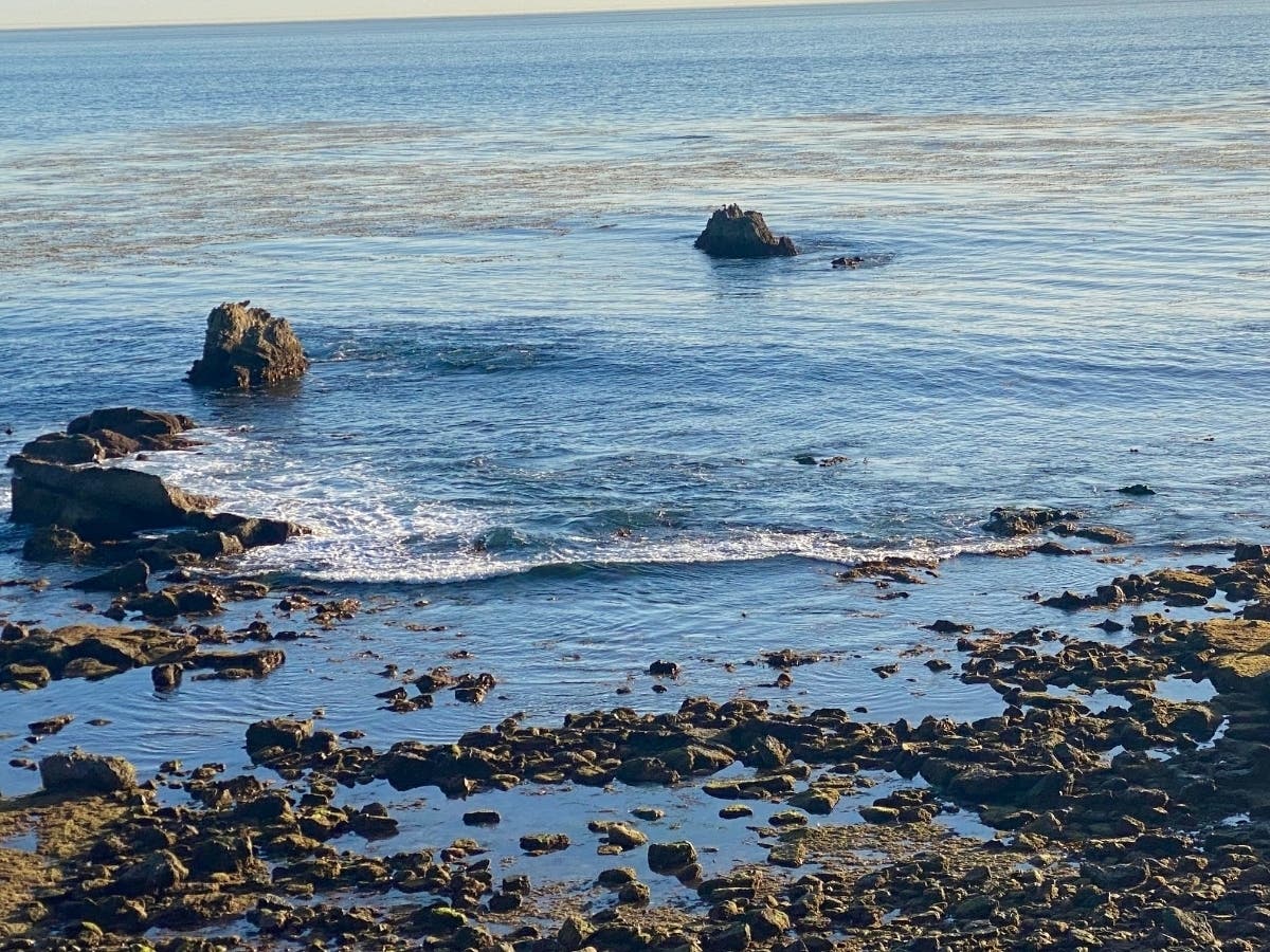 In Laguna Beach, there is no shortage of mesmerizing color to be found in the city's natural beauty. 