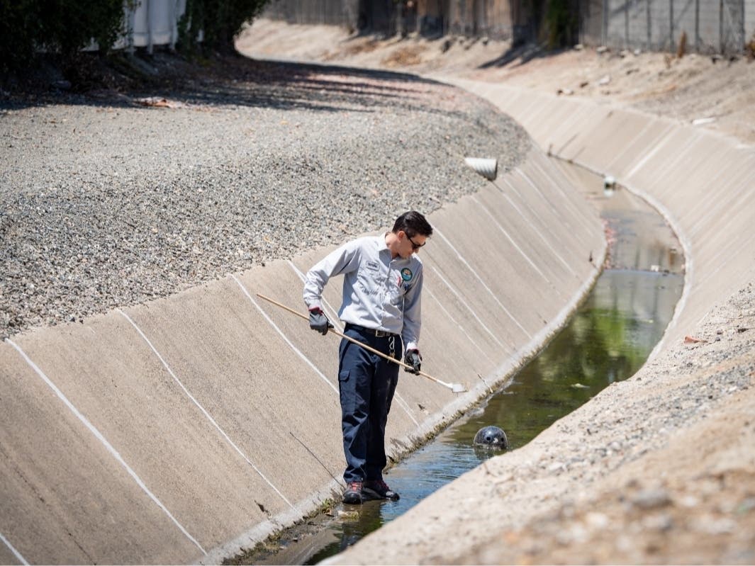 A combination of warm and wet conditions is being blamed for a sharp increase in mosquito activity across Southern California.