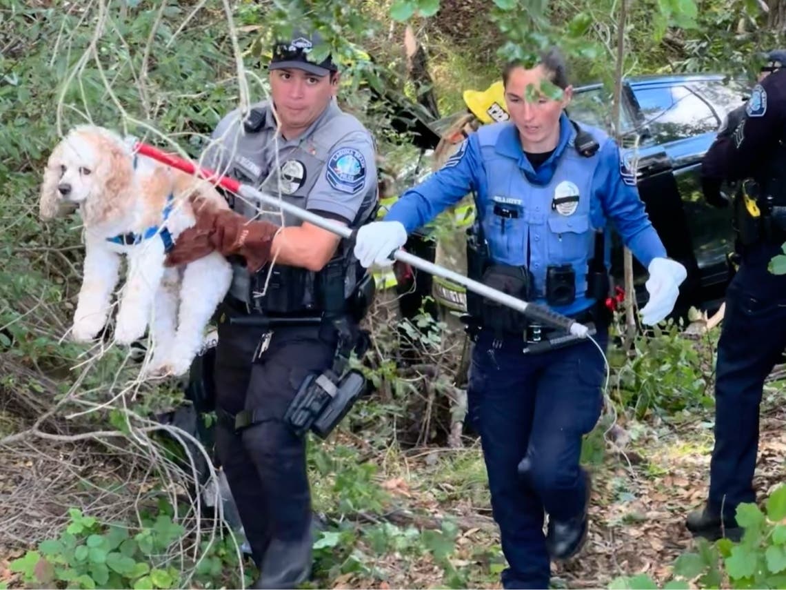 The crash was reported off of El Toro Road, according to the Laguna Beach Police Department.