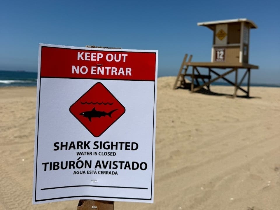 The 9- to 10-foot-long shark was spotted around 10 a.m. Wednesday and was "exhibiting aggressive behavior near shore."