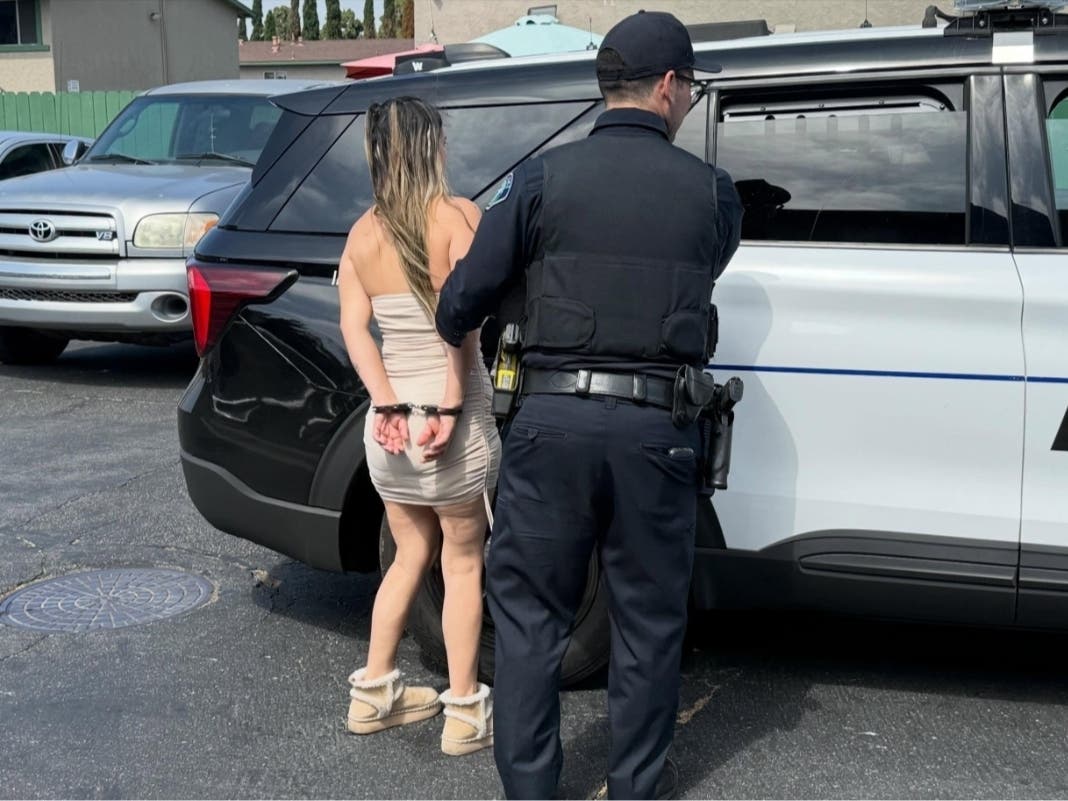 According to police, the six suspects made up a crew that was responsible for more than 10 residential burglaries in different Irvine neighborhoods.