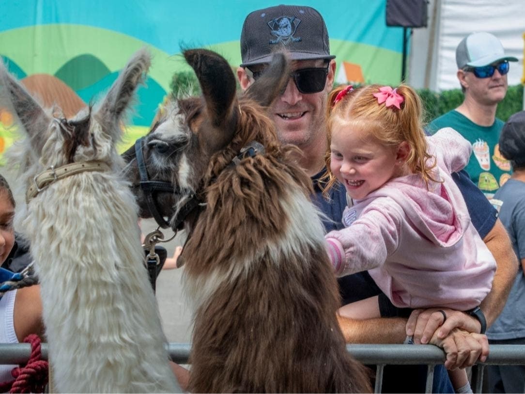 The Orange County Fair is still in full swing, with plenty of events lined up for residents to end summer with a bang.
