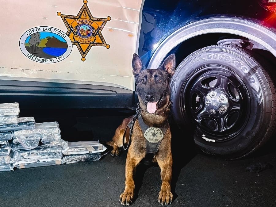 The incident happened sometime over the weekend in Lake Forest, when a vehicle was pulled over on the Interstate 5 Freeway for multiple violations, according to the Orange County Sheriff's Department.