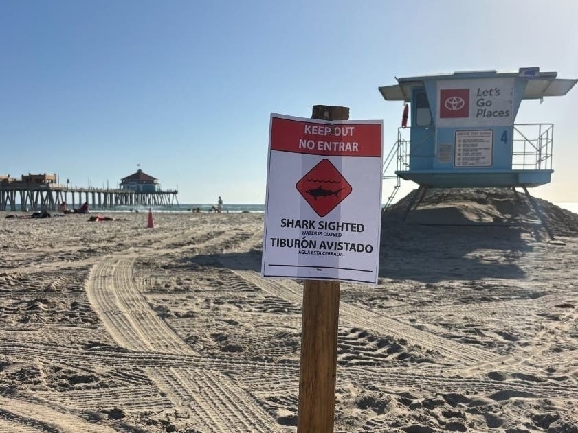 Entry into the water from Seapoint to the Huntington Beach Pier was closed Tuesday after reports of a 10 to 12-foot great white shark acting aggressively.