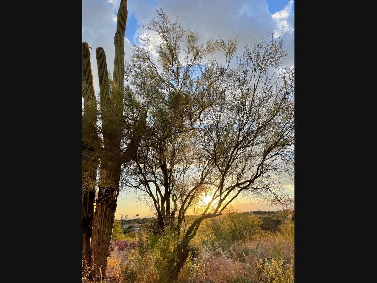 Winter Weather Forecast For Tucson: See Daily Predictions | Tucson, AZ ...