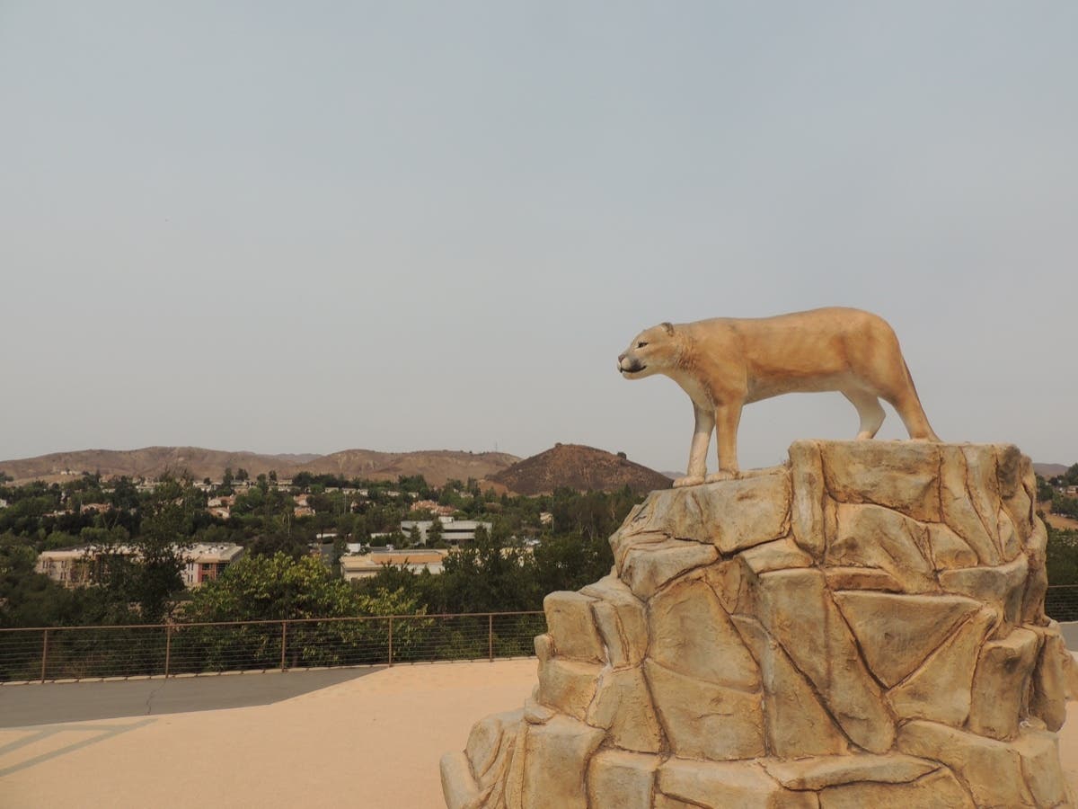 Reyes Adobe Days is back in person this year in Agoura Hills. 
